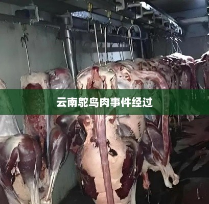 云南鸵鸟肉事件经过，云南鸵鸟肉事件最新进展