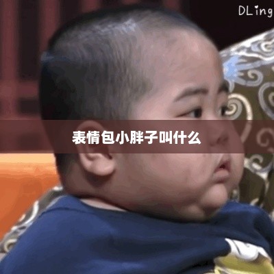 表情包小胖子叫什么，表情包小胖子可以叫萌趣宝宝或可爱小胖子