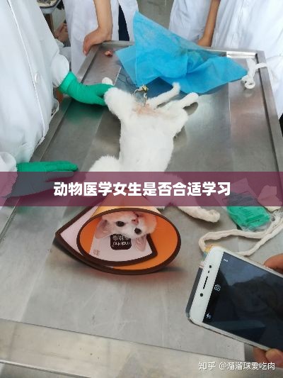 动物医学女生是否合适学习