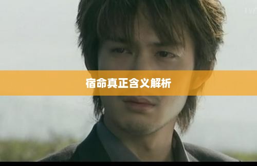 宿命真正含义解析，宿命真谛，解读命运与生命的本质