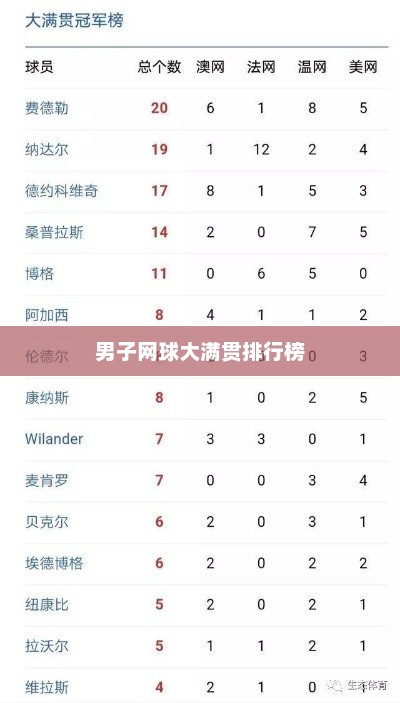男子网球大满贯排行榜