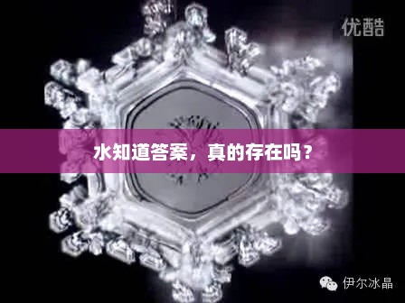水知道答案，真的存在吗？水知道答案，探索未知的水世界