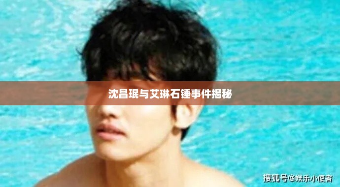 沈昌珉与艾琳石锤事件揭秘，沈昌珉与艾琳石锤事件真相解析