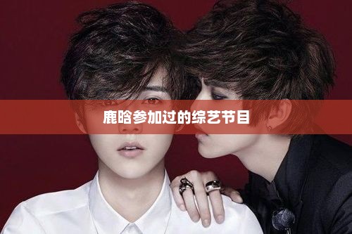 鹿晗参加过的综艺节目，鹿晗参加过的综艺节目有热血街舞团