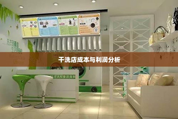 干洗店成本与利润分析，干洗店成本与利润分析报告，揭秘成本与收益的秘密