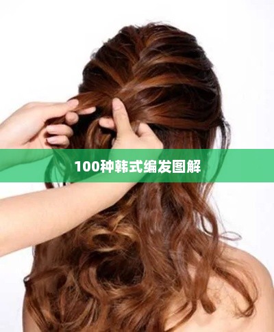100种韩式编发图解