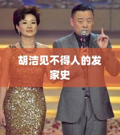 胡洁见不得人的发家史