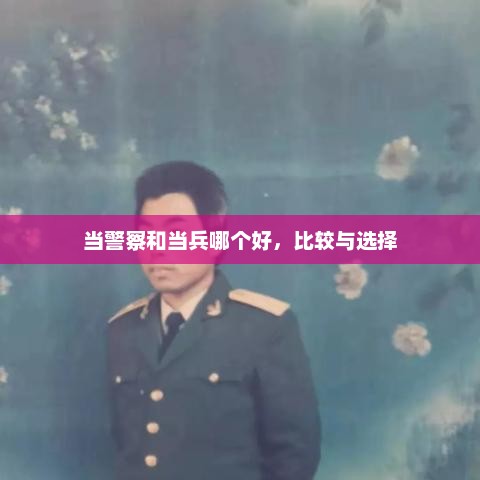 当警察和当兵哪个好，比较与选择，警察与当兵，哪个职业更优选择