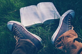 石器手游五开玩法攻略详解，石器手游五开玩法攻略详解标题，五开轻松玩石器世界，石器手游五开轻松玩，五开玩法攻略详解