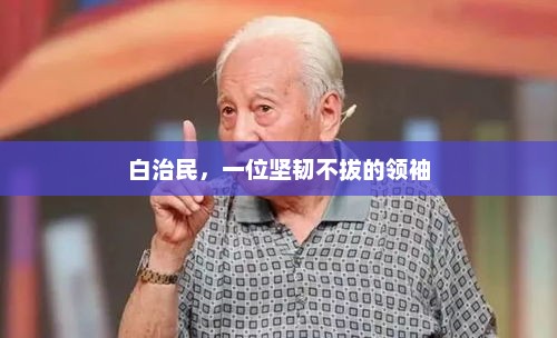 白治民，一位坚韧不拔的领袖，白治民领袖风采