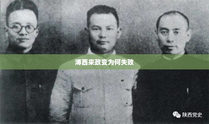 溥西来政变为何失败，溥西来政变失败原因探究