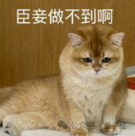 人形机器人半马冠军 为什么会选择全尺寸