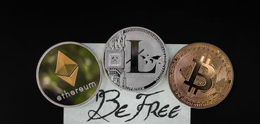 ImToken支持哪些数字货币？全面解析