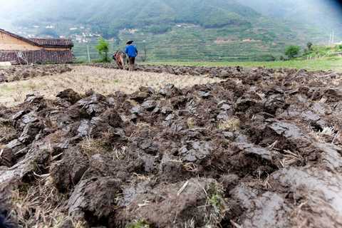 农民无地可种，解决策略与土地寻找途径