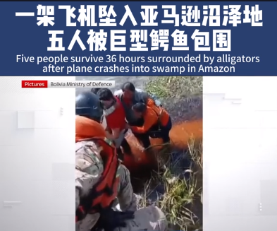亚马逊丛林飞机故障迫降，获救者眼中的鳄蛇守护时刻