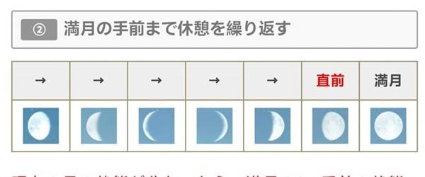 怪物猎人荒野满月刷珠子攻略指南