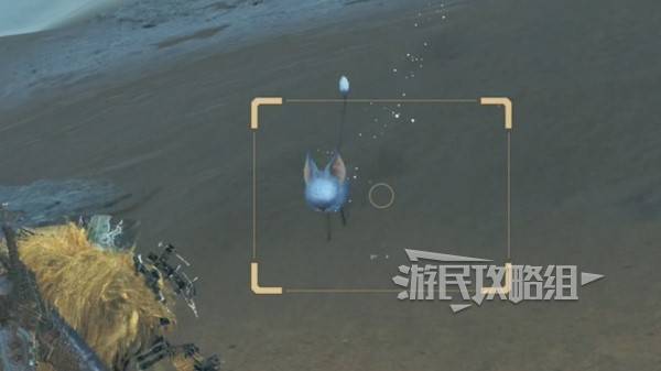 怪物猎人，荒野沙野流星——稀有环境生物位置地图全攻略