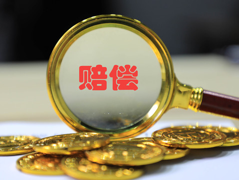 造成他人轻伤的法律责任与赔偿标准详解，赔偿及法律义务解析