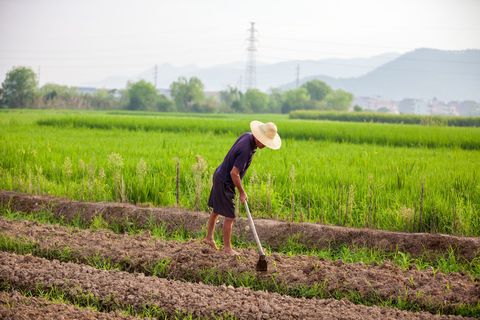 农村土地买卖中的个人权益与法规限制解读