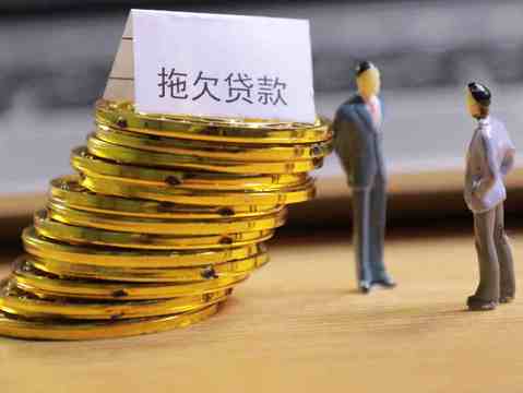 无力还款解决方案探讨与应对策略