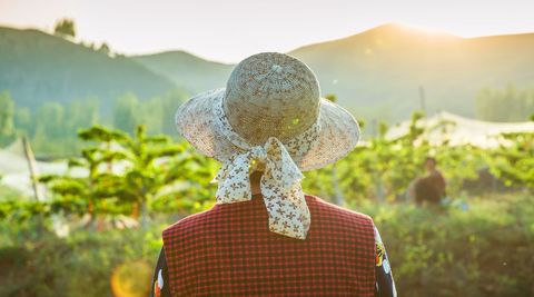村霸强占土地，违法行为的法律剖析