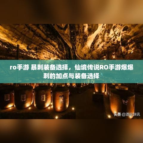仙境传说RO手游，爆刺职业装备选择与加点攻略