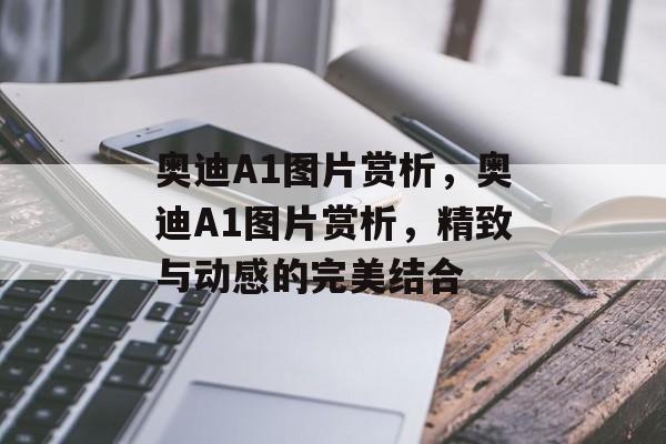 奥迪A1图片赏析，奥迪A1图片赏析，精致与动感的完美结合