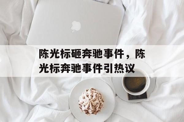陈光标砸奔驰事件，陈光标奔驰事件引热议