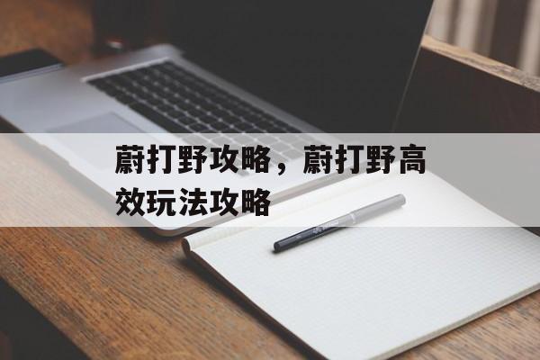 蔚打野攻略，蔚打野高效玩法攻略，蔚野区打野高效玩法攻略