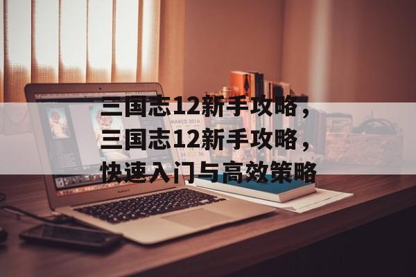 三国志12新手攻略，三国志12新手攻略，快速入门与高效策略，三国志12新手攻略，快速入门与高效策略