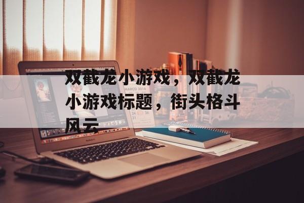 双截龙小游戏，双截龙小游戏标题，街头格斗风云