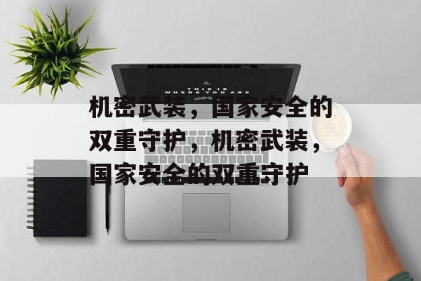机密武装，国家安全的双重守护，机密武装，国家安全的双重守护