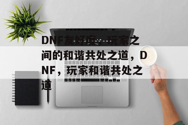 DNF友好度，玩家之间的和谐共处之道，DNF，玩家和谐共处之道