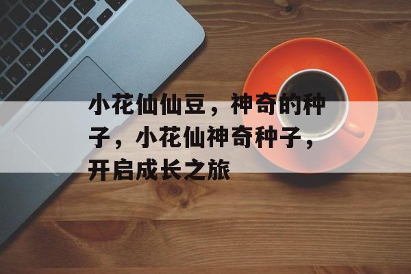 小花仙仙豆，神奇的种子，小花仙神奇种子，开启成长之旅