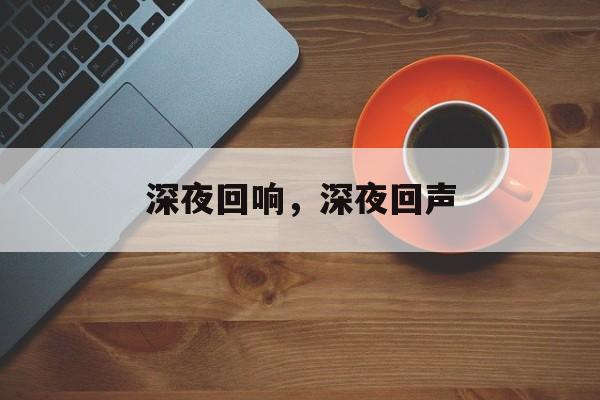 深夜回响，深夜回声，深夜回声，寂静中的回声
