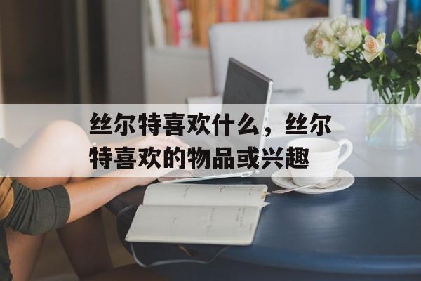 丝尔特喜欢什么，丝尔特喜欢的物品或兴趣，丝尔特喜欢的物品或兴趣，艺术与收藏