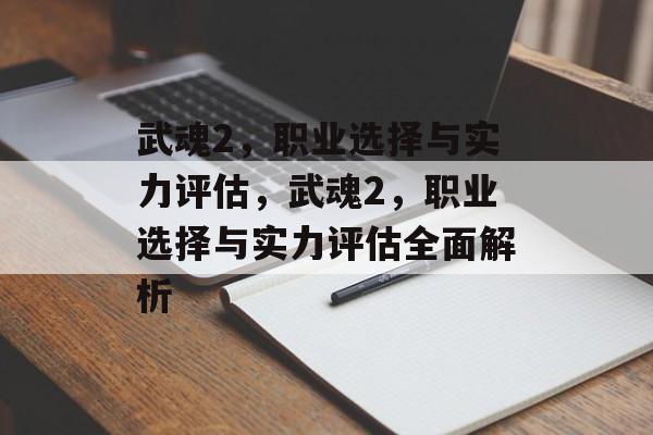 武魂2，职业选择与实力评估，武魂2，职业选择与实力评估全面解析