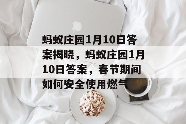 蚂蚁庄园1月10日答案揭晓，蚂蚁庄园1月10日答案，春节期间如何安全使用燃气，春节期间安全使用燃气提示