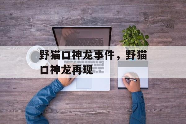 野猫口神龙事件，野猫口神龙再现