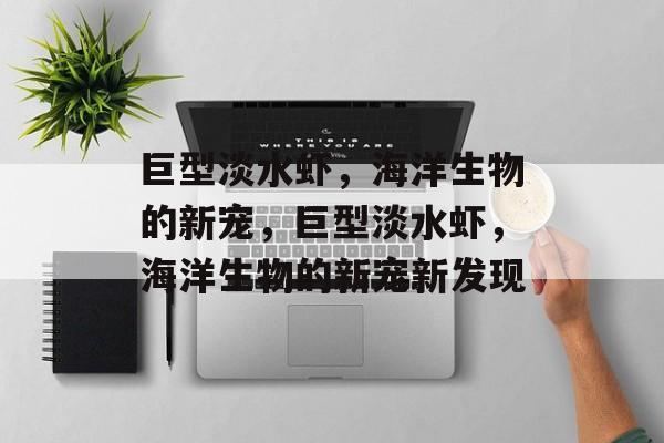 巨型淡水虾，海洋生物的新宠，巨型淡水虾，海洋生物的新宠新发现，巨型淡水虾，海洋生物新宠的神秘发现