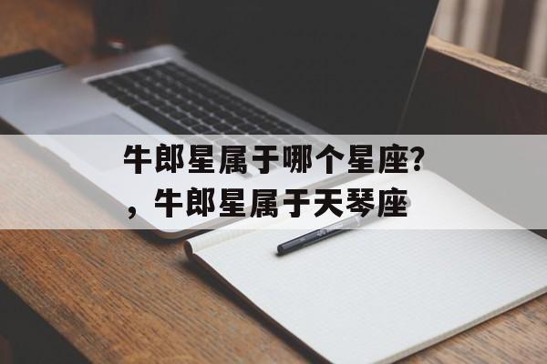 牛郎星属于哪个星座？，牛郎星属于天琴座