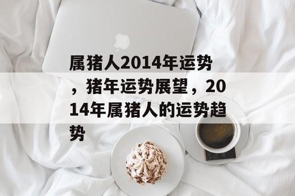 属猪人2014年运势，猪年运势展望，2014年属猪人的运势趋势