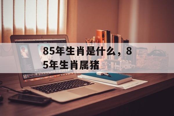 85年生肖是什么，85年生肖属猪，85年生肖属猪