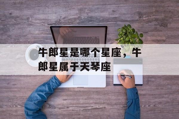 牛郎星是哪个星座，牛郎星属于天琴座