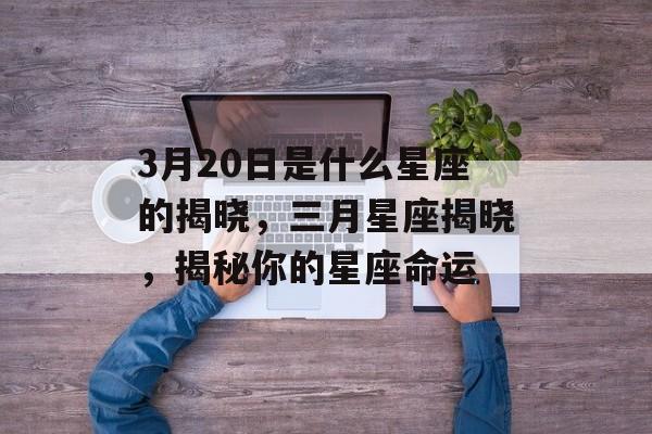 3月20日是什么星座的揭晓，三月星座揭晓，揭秘你的星座命运，星座揭晓，三月星座命运解析
