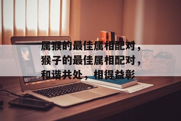 属猴的最佳属相配对，猴子的最佳属相配对，和谐共处，相得益彰