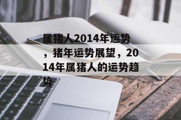 属猪人2014年运势，猪年运势展望，2014年属猪人的运势趋势