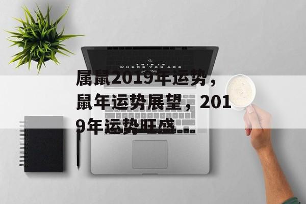 属鼠2019年运势，鼠年运势展望，2019年运势旺盛