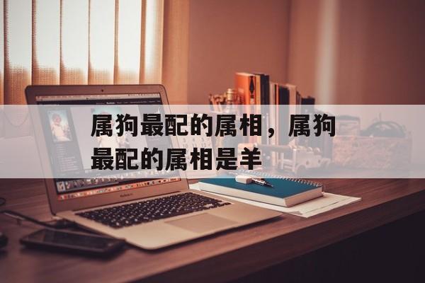 属狗最配的属相，属狗最配的属相是羊