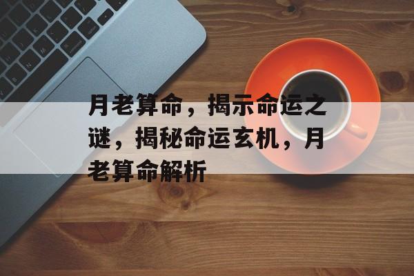 月老算命，揭示命运之谜，揭秘命运玄机，月老算命解析
